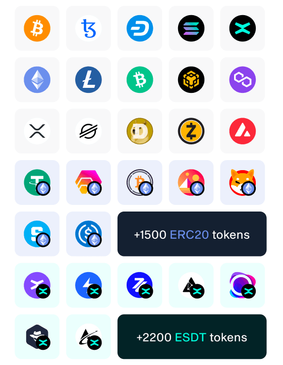 Grid of coins supported by NGRAVE, plus 1500 ERC20 tokens and 2200 ESDT tokens