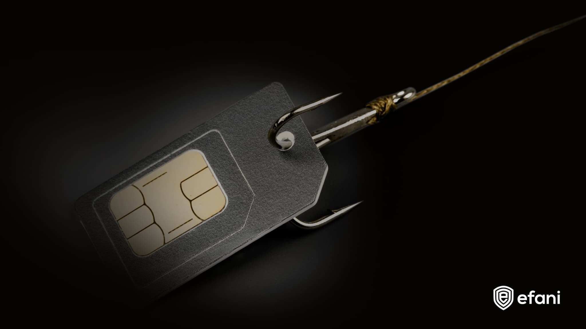 SIM card caught on a fishing hook, illustrating SIM swap phishing, with the Efani logo